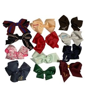 Assorted Girls Hair Bows Bundle
